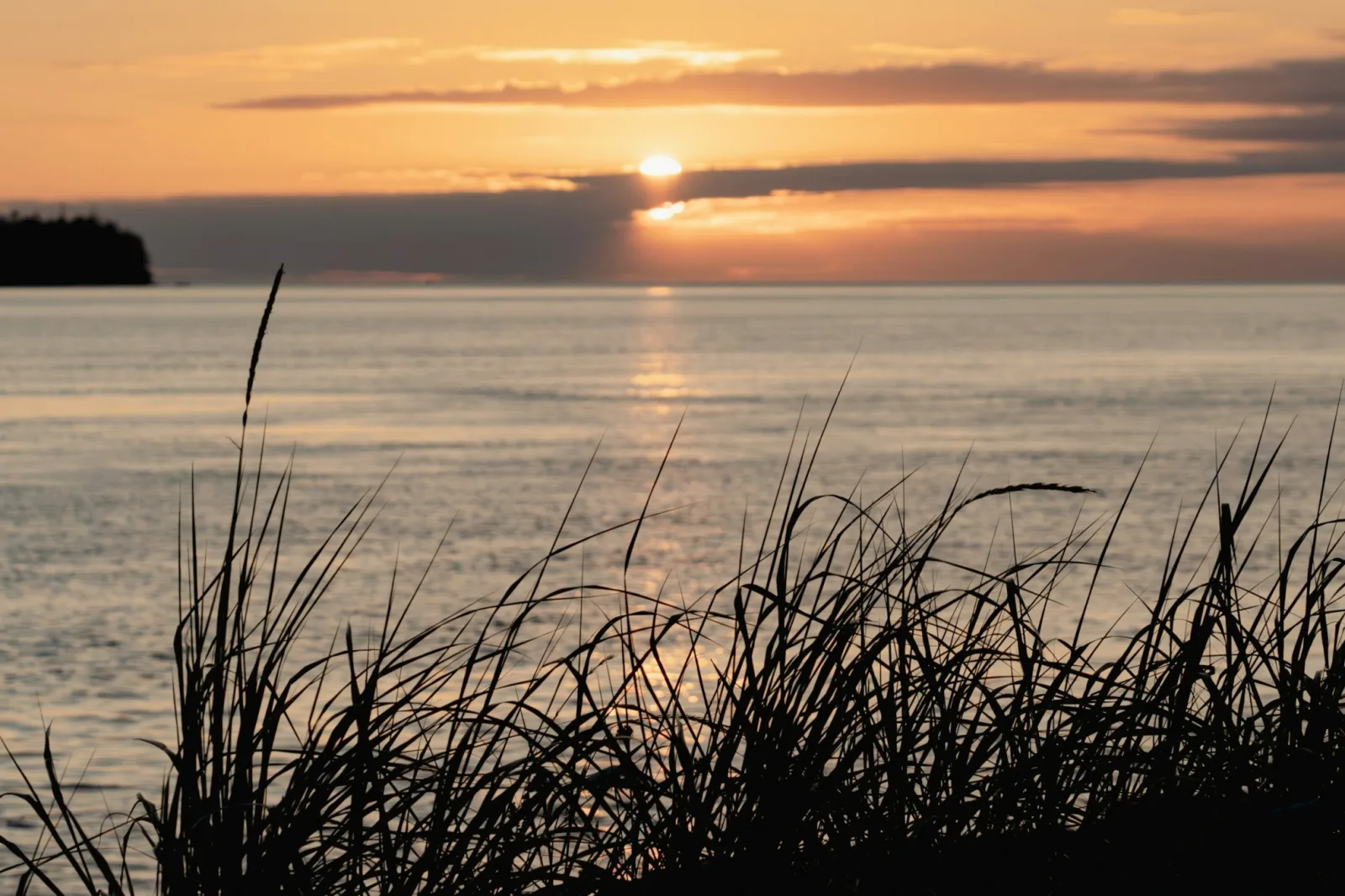 Sunset over Birch Bay with beach grass in silhouette