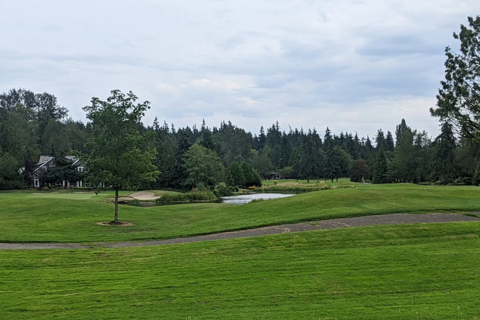 A fairway, pond and evergreens at Semiahmoo Golf & Country Club
