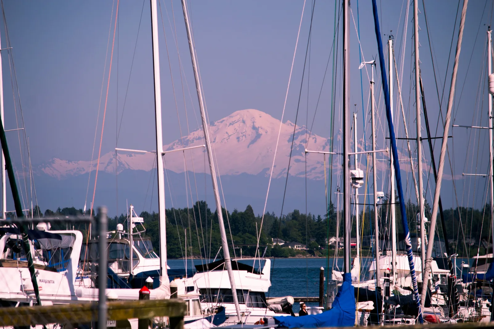 Sailboat masts at Semiahmoo Marina with snow-capped Mt. Baker in evening light